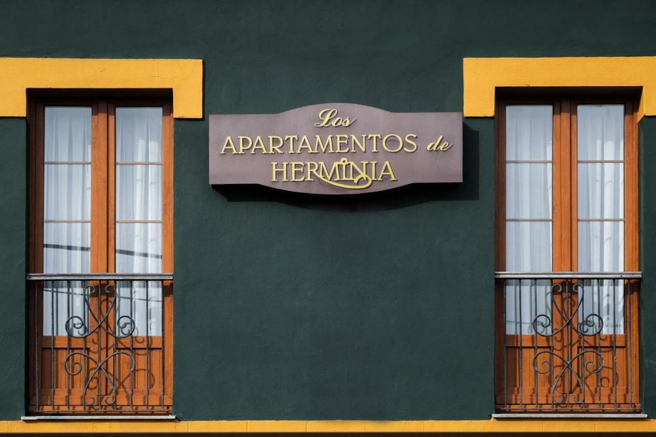 Apartamentos De Herminia Manzaneda  Buitenkant foto